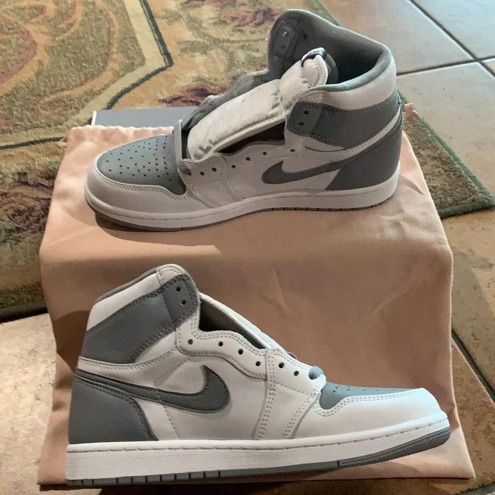 Jordan 1 Retro High OG Stealth (Premium Leather)